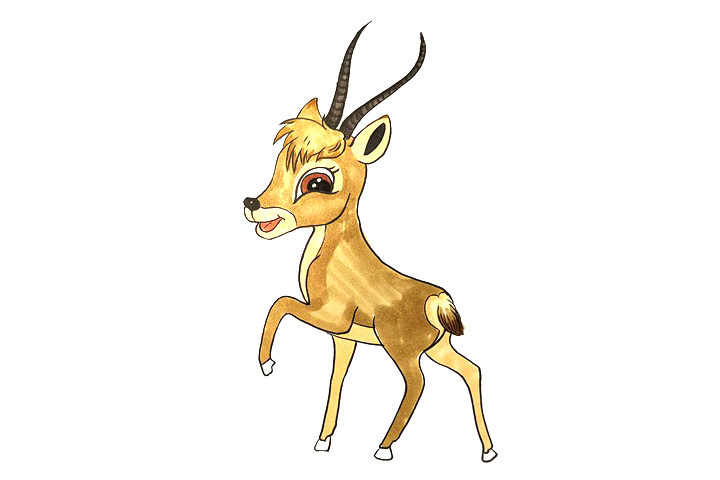 小藏羚羊怎么画