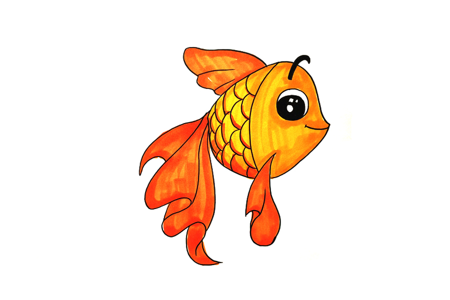 一步一步学画小金鱼