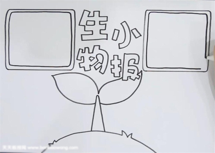 小学生生物小报漂亮-图1