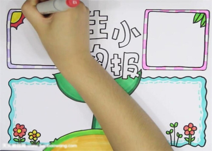 小学生生物小报漂亮-图3