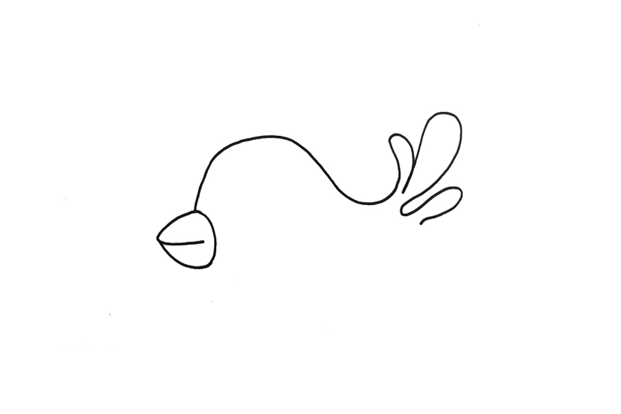 可爱的小鸟飞怎么画-图1