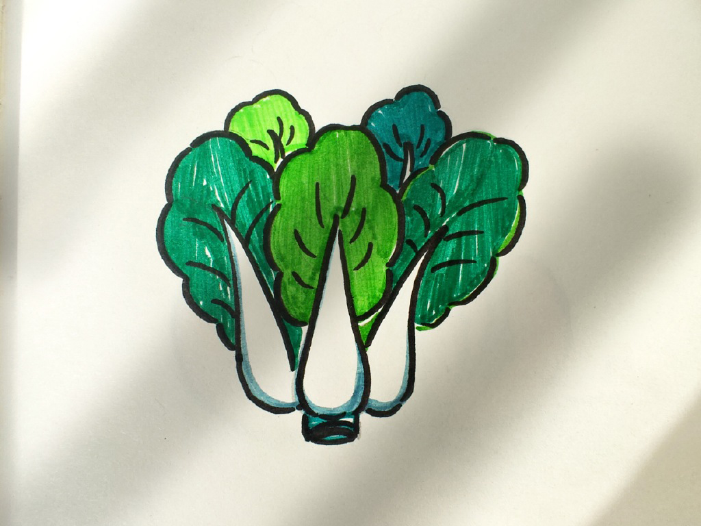 简单易画的蔬菜简笔画-图1