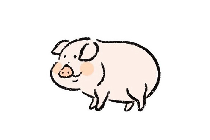 小猪仔怎么画