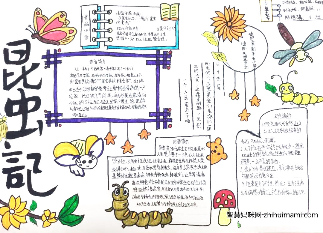 初中生昆虫记手抄报绘画图片-图1