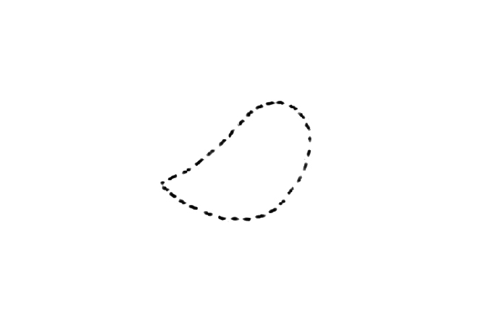 如何画简单小鸟简笔画-图1