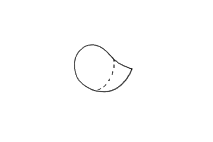 如何画简单小鸡简笔画-图2