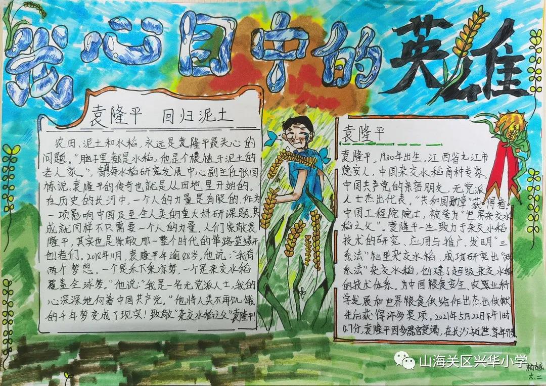 我心中的英雄-袁隆平手抄报-图2