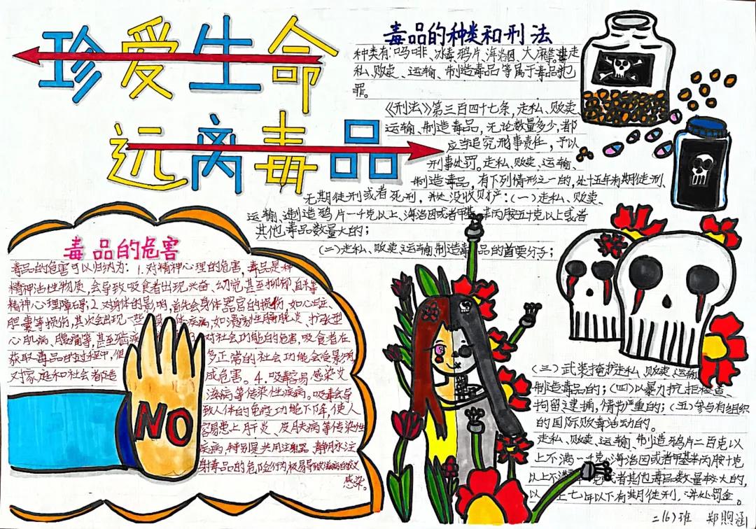 禁毒手抄报简单又漂亮-图4