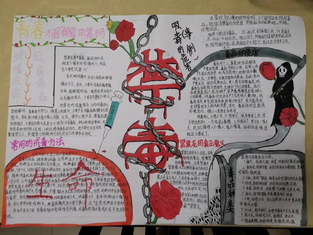 禁毒手抄报小学二年级-图2