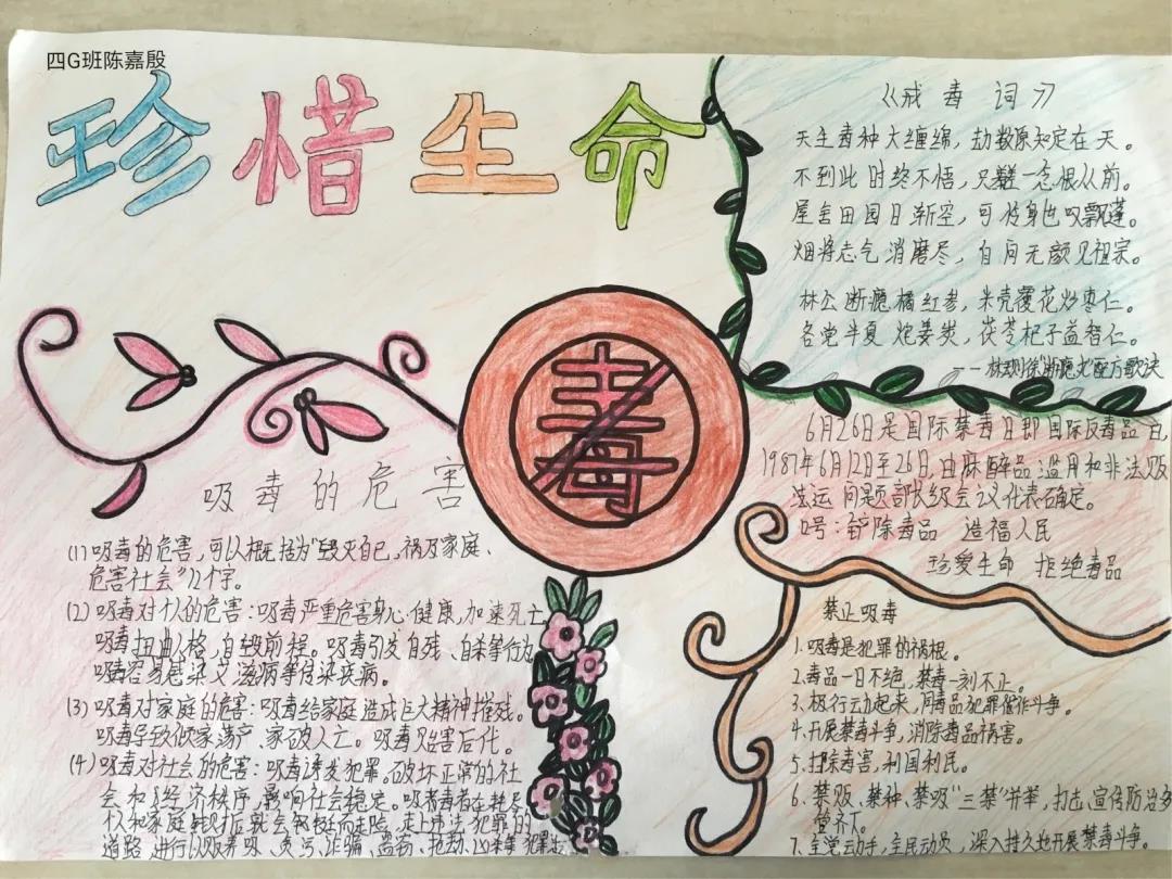 青少年禁毒宣传知识手抄报-图3