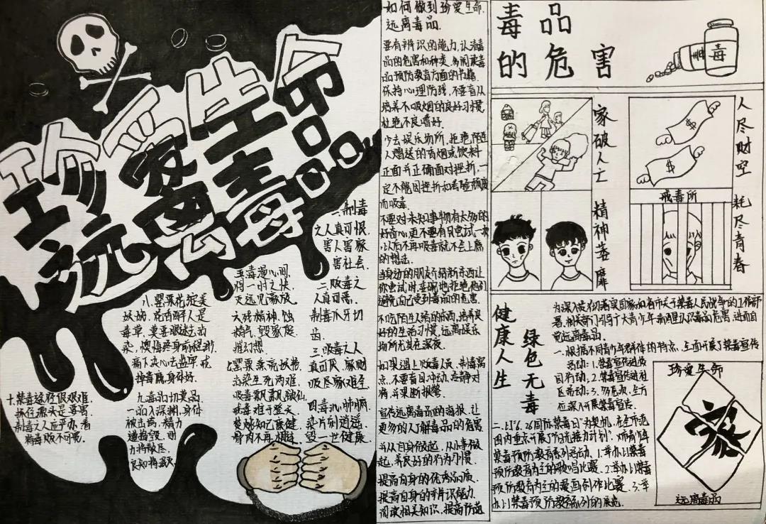 禁毒宣传的手抄报简单-图2