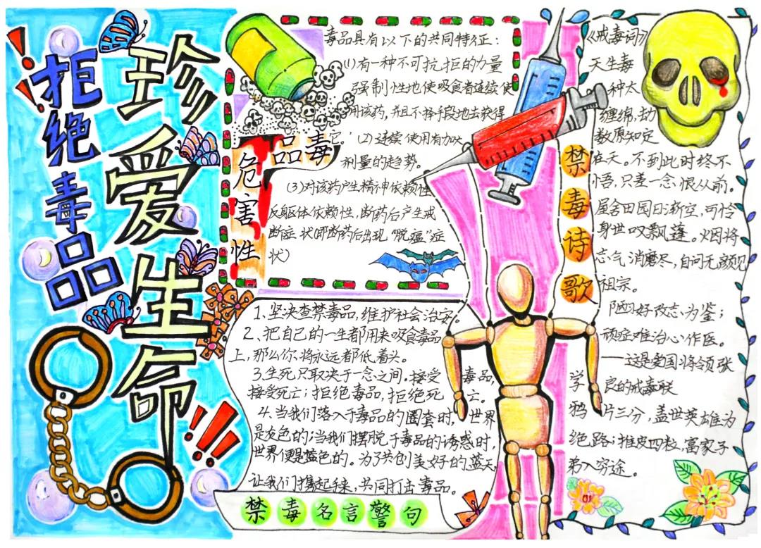 禁毒宣传的手抄报简单-图6