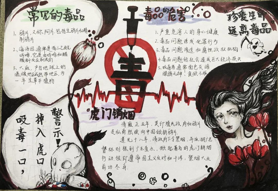 禁毒宣传的手抄报简单-图7