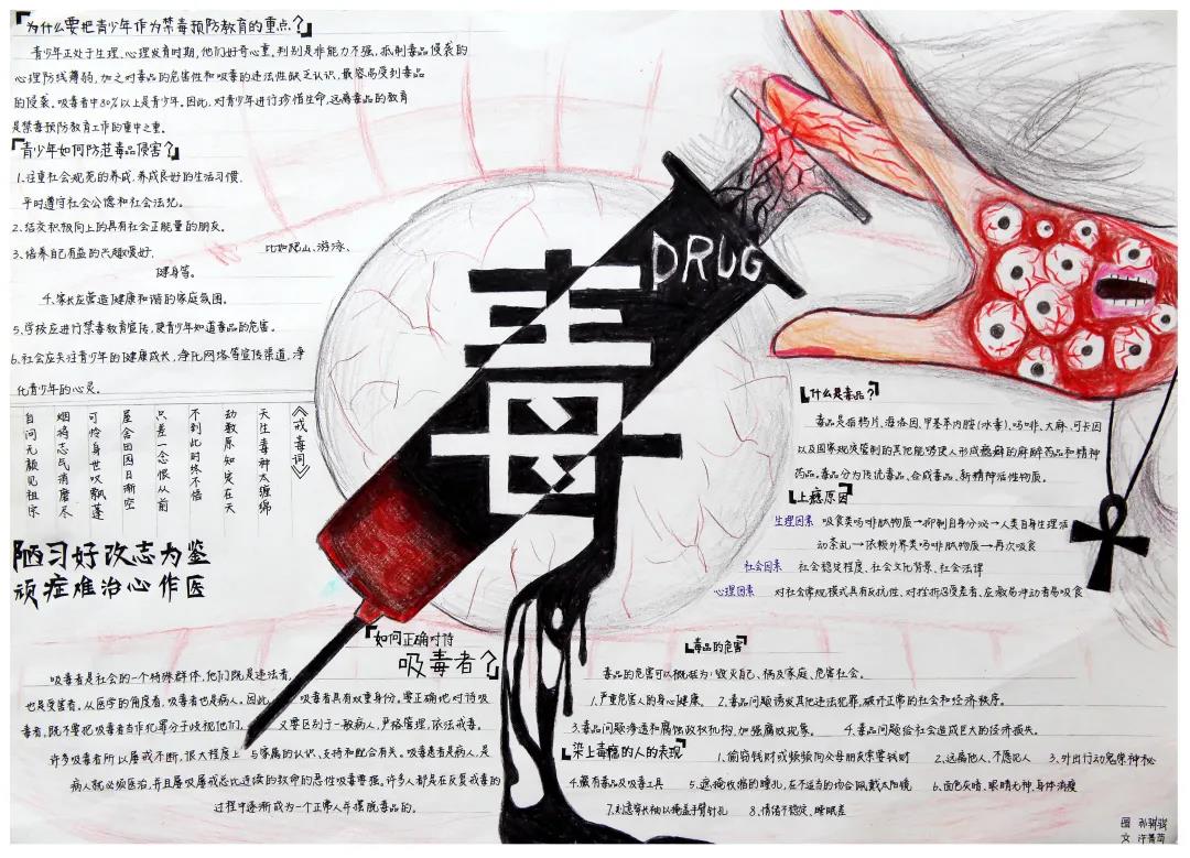 宣传禁毒手抄报中学生-图4