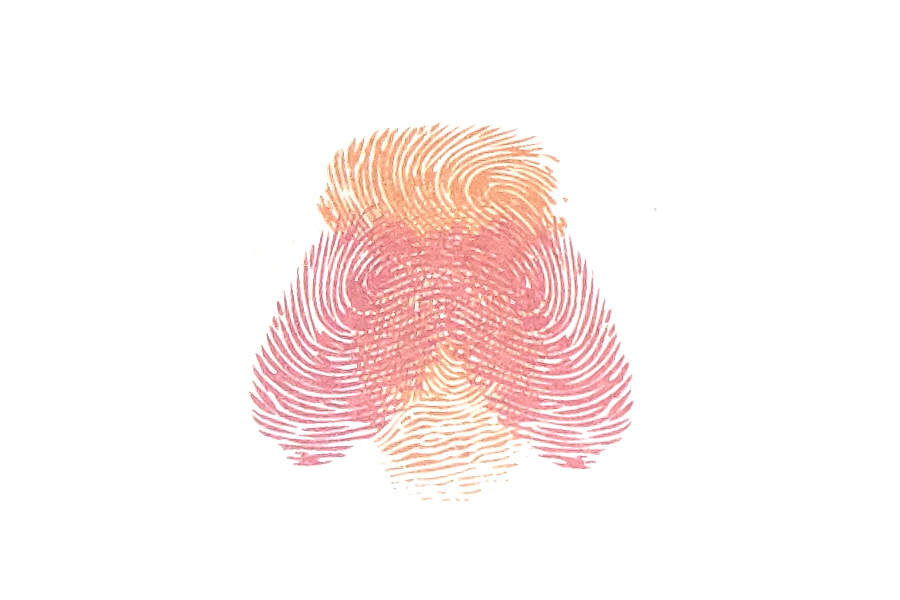 步骤3：用食指按出蝉的一对翅膀，是不是有蝉的模样了？