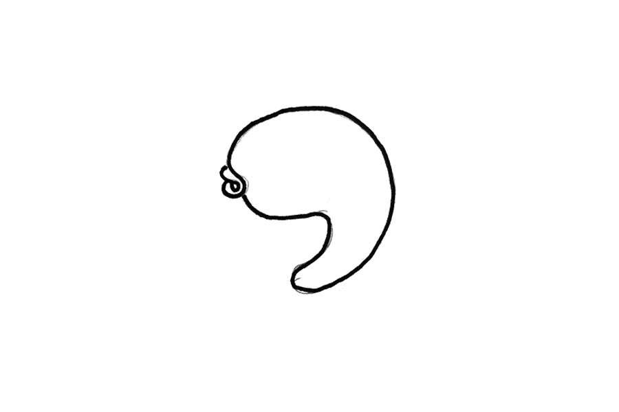 如何画漂亮的小鱼简笔画-图1