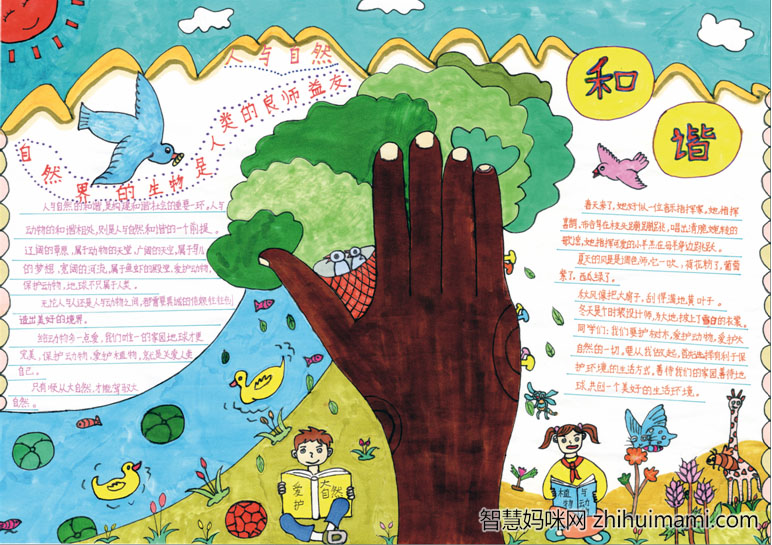 我心中的社会主义核心价值观手抄报一等奖-图5