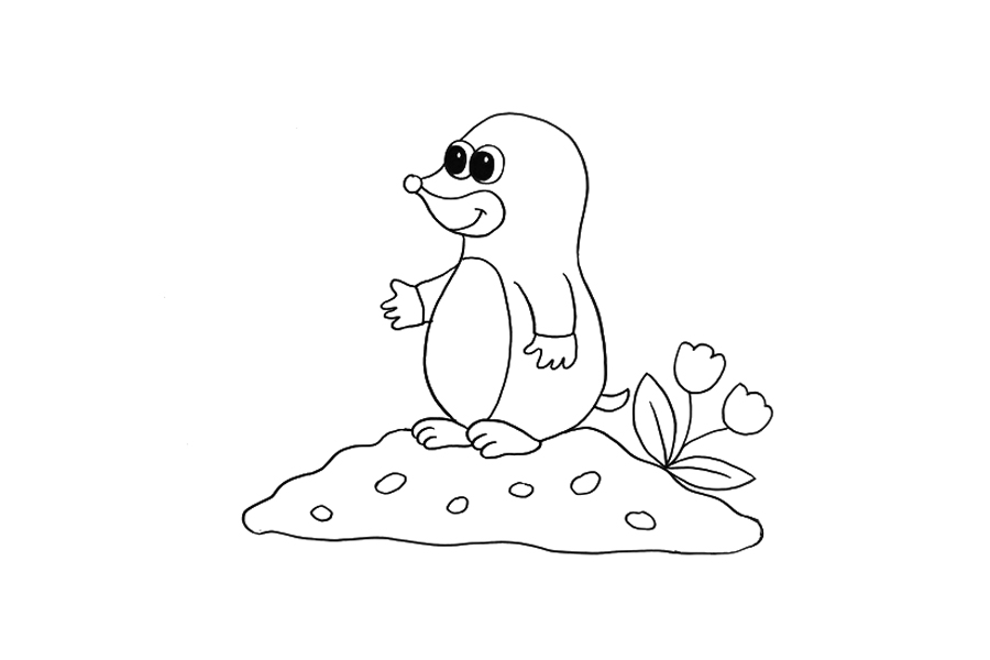 怎么画鼹鼠-图3