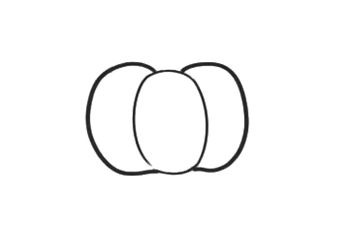 步骤3：右侧画一个被遮挡的椭圆。