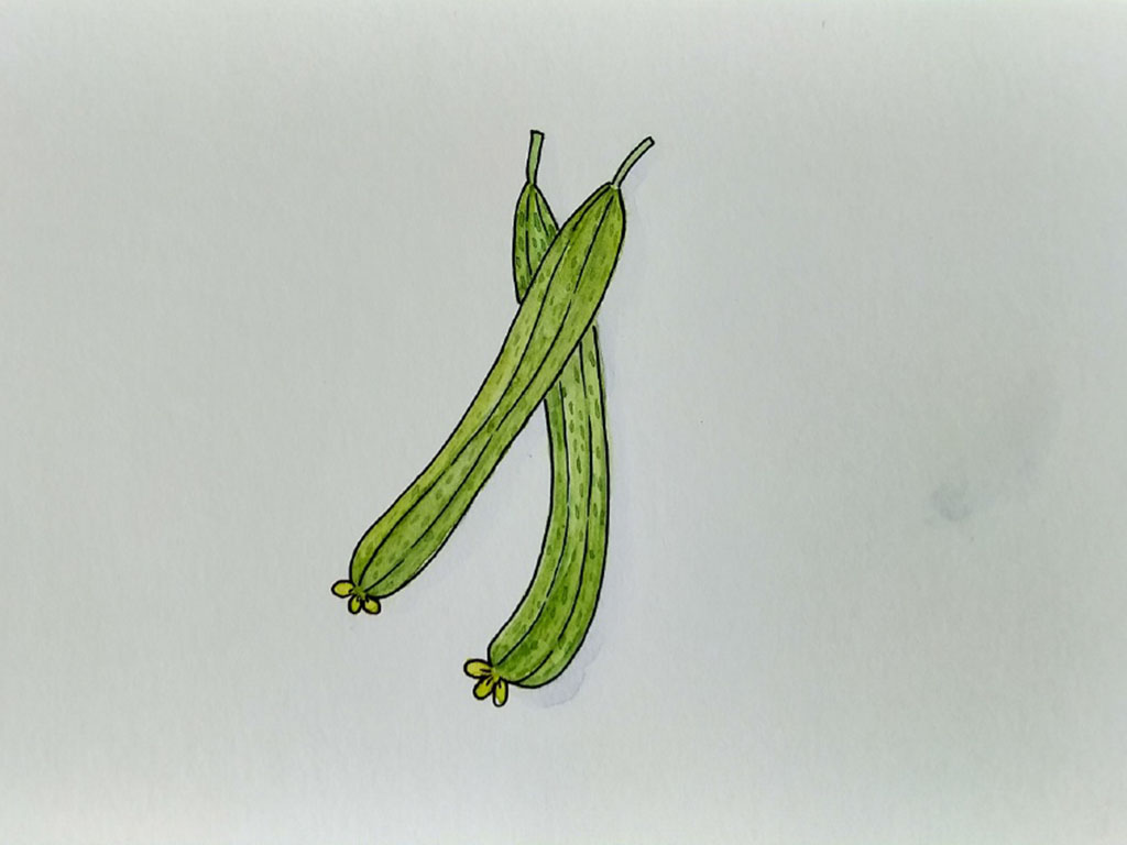 蔬菜怎么画好看-图3