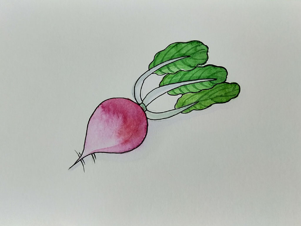 蔬菜怎么画好看-图4