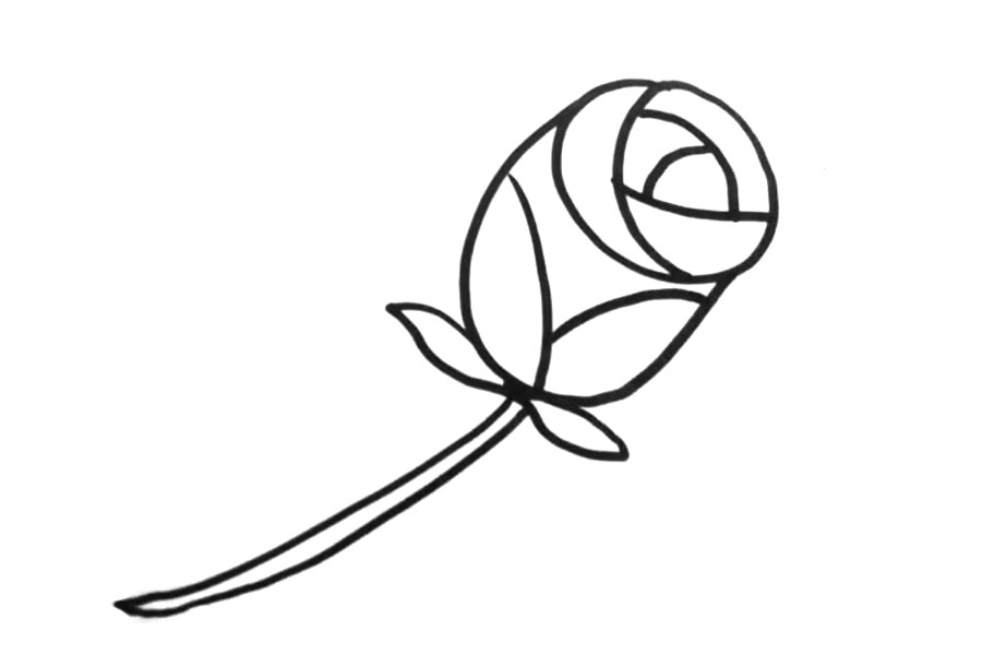 粉色玫瑰花怎么画-图4