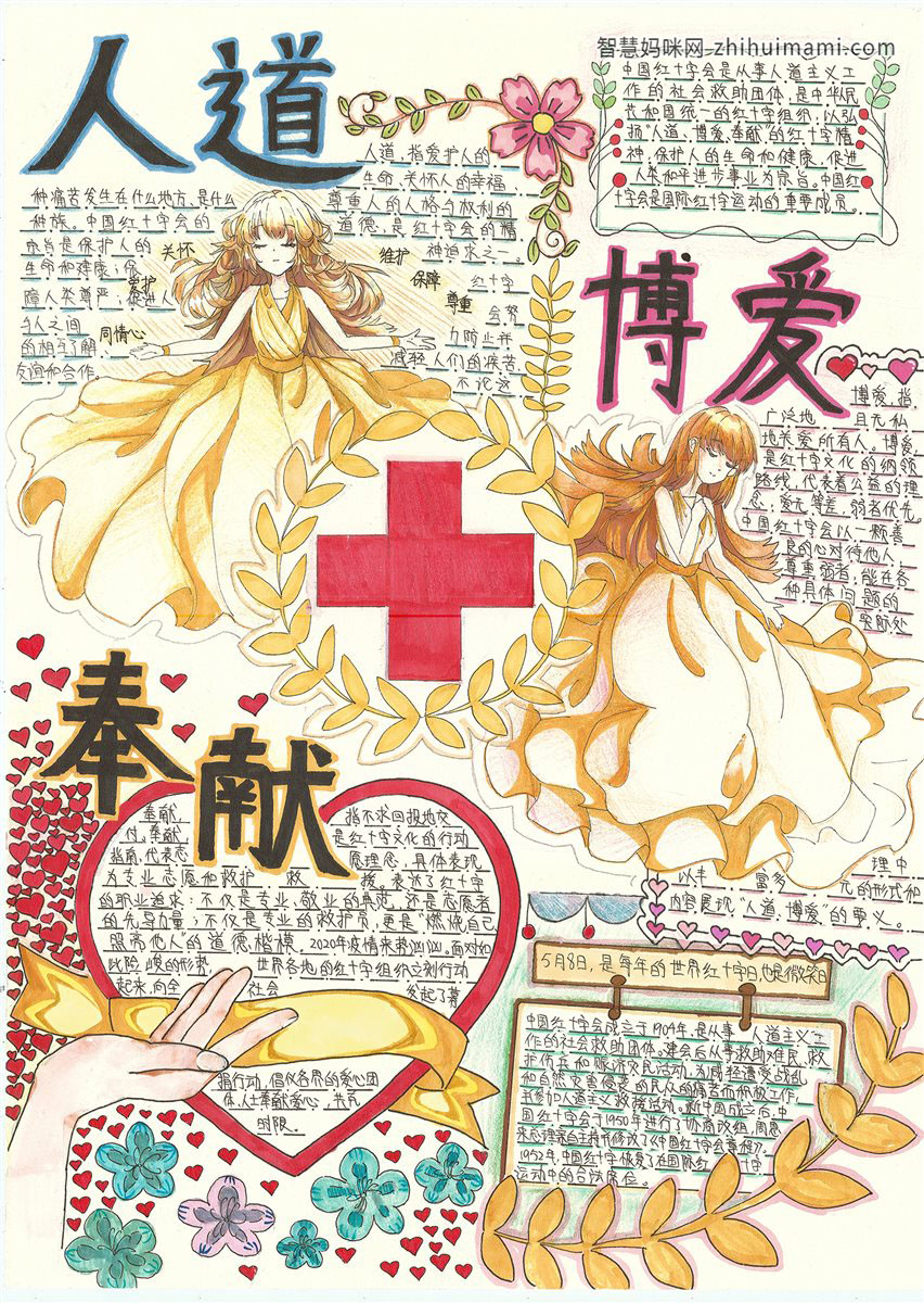 红十字手抄小报绘画（6张）-图5