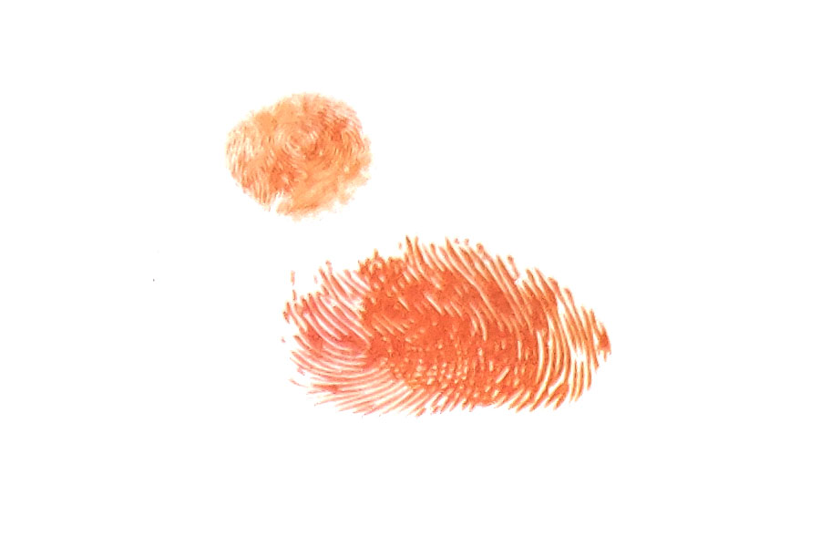 步骤2：伸出小拇指，蘸取颜料后按出鸭子的脑袋；将食指换种颜色，按出鸭子的翅膀。