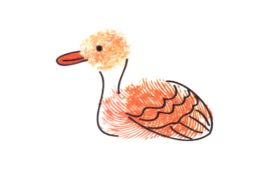 步骤4：画出翅膀上的纹路，看起来像不像一只浮在水面上的鸭子呢。