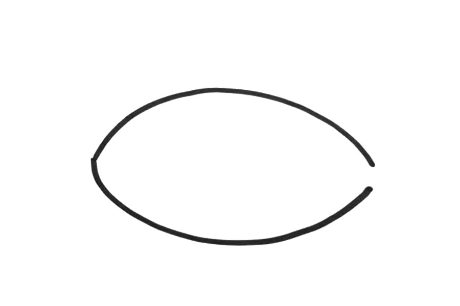 小学生卡通版小鱼怎么画-图1