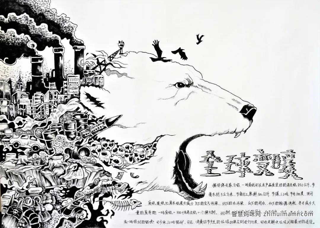 关于保护生态环境的手抄报图片-图6