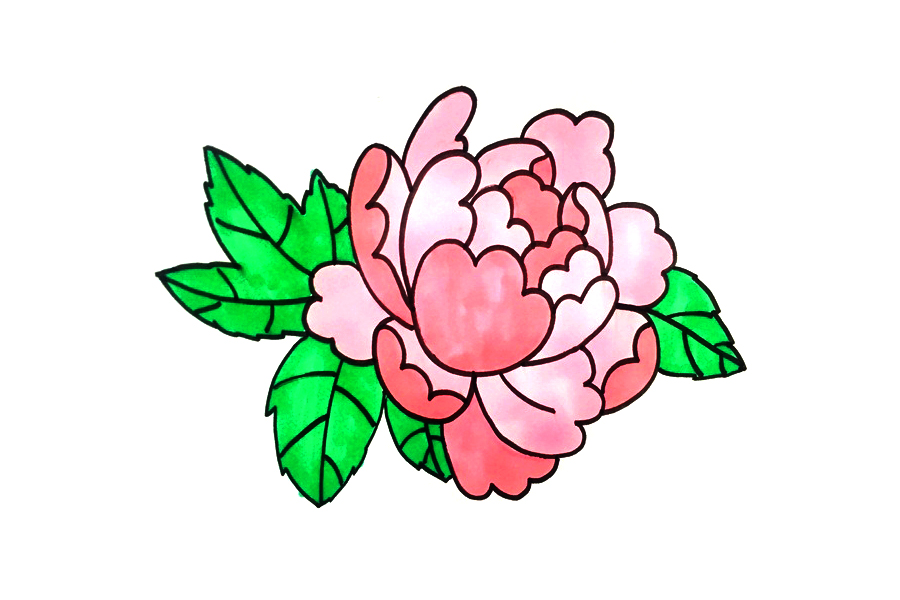 一步一步学画牡丹