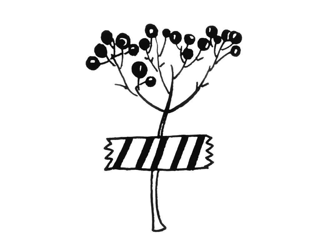 一组小植物简笔画图片-图4