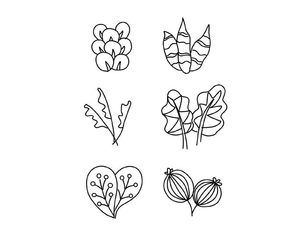 树叶叶子卡通简笔画-图6