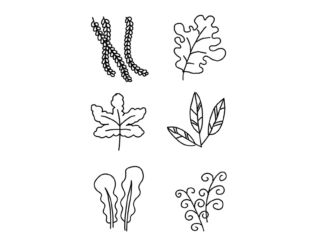 树叶叶子卡通简笔画-图9