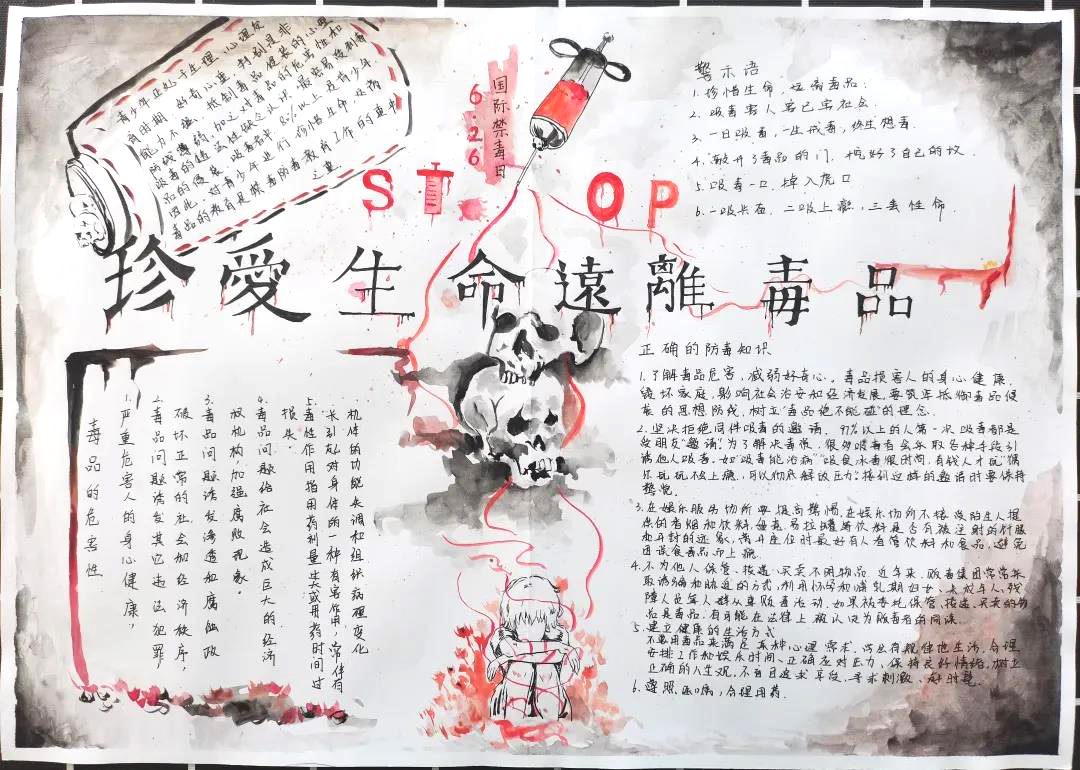 关于禁毒的手抄报作品图片-图5