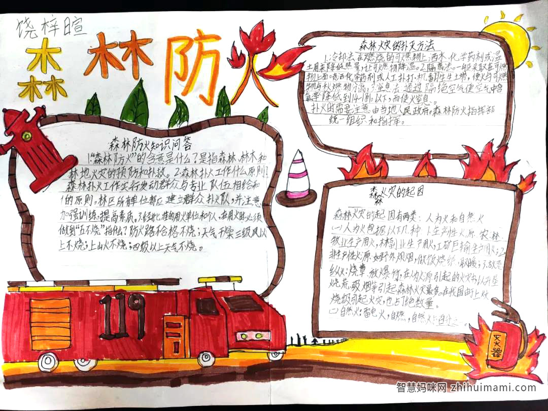 小学生森林防火手抄报绘画作品-图5