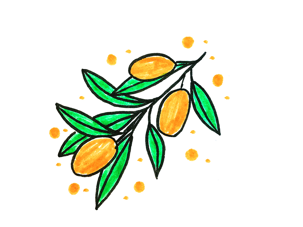 一组漂亮的水果简笔画-图5