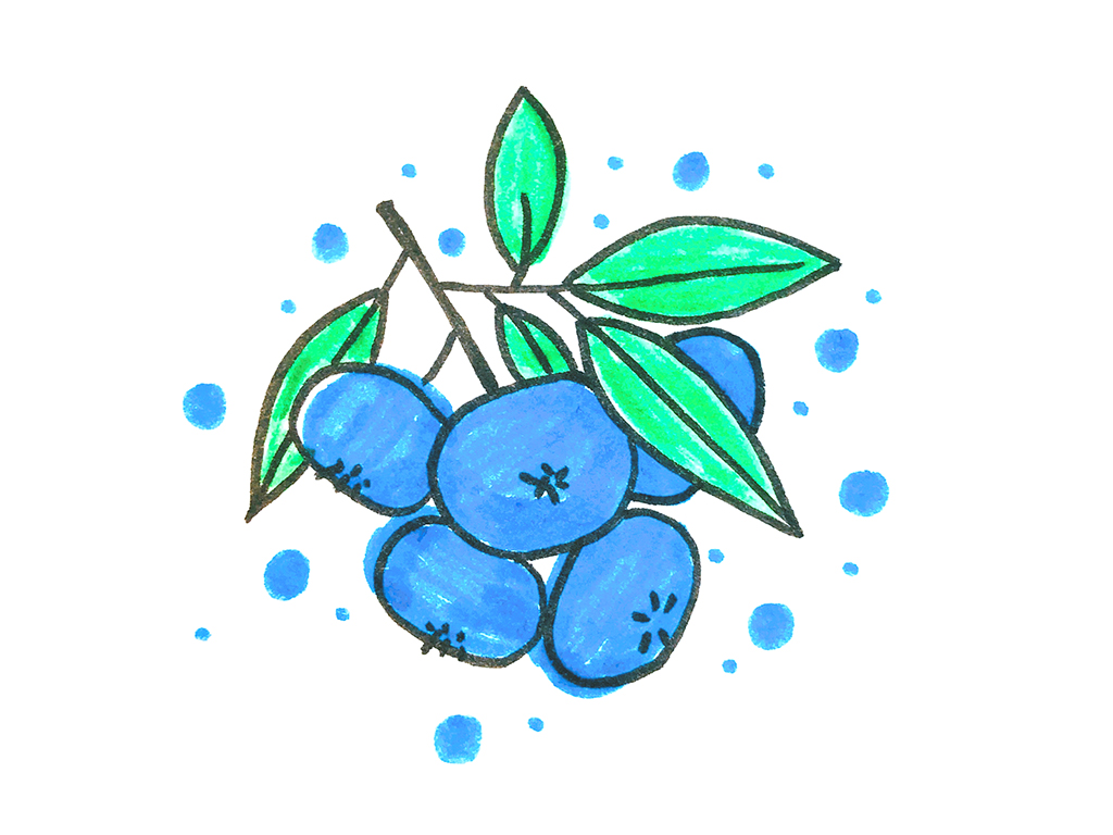 一组漂亮的水果简笔画-图6