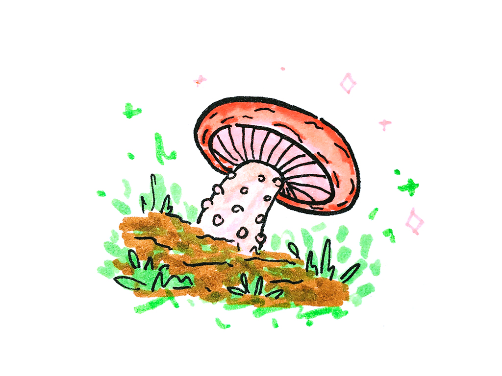 可可爱爱的蘑菇简笔画-图1