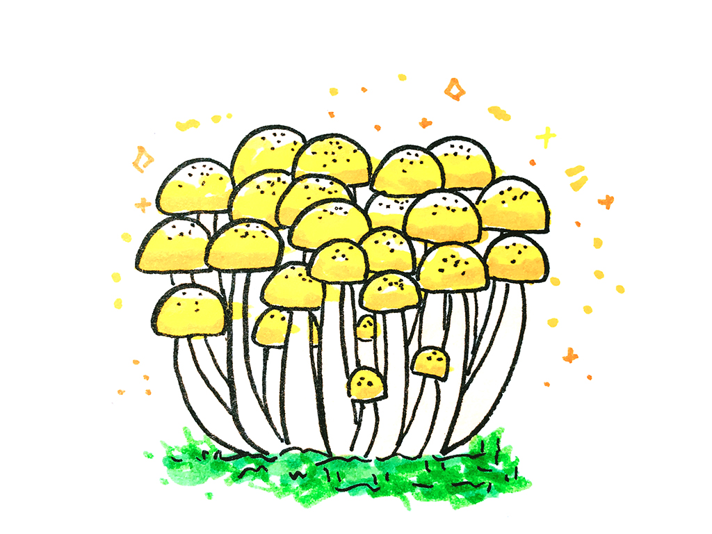 可可爱爱的蘑菇简笔画-图5