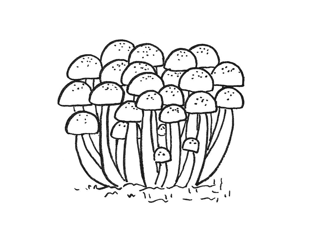 可可爱爱的蘑菇简笔画-图6