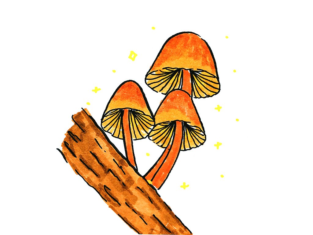 可可爱爱的蘑菇简笔画-图12