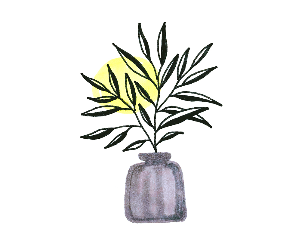 超简单花瓶插花简笔画-图6