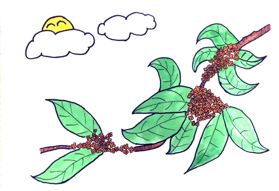 八月桂花香儿童绘画作品-图4