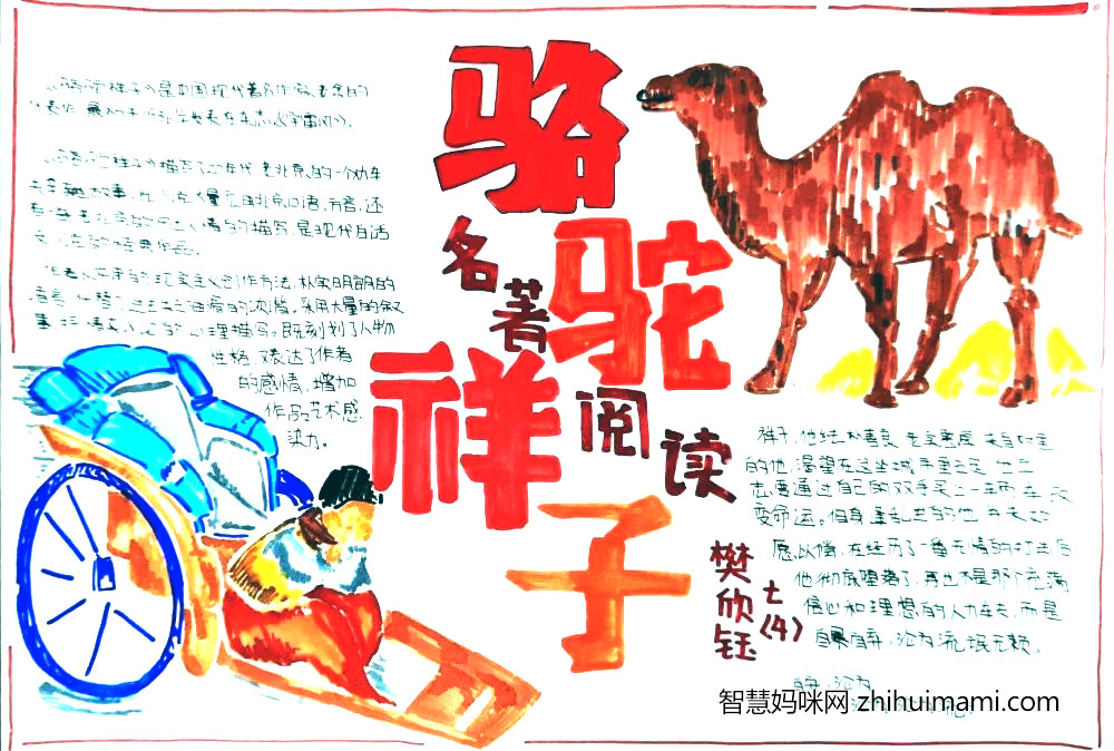 关于骆驼祥子的手抄报绘画-图2