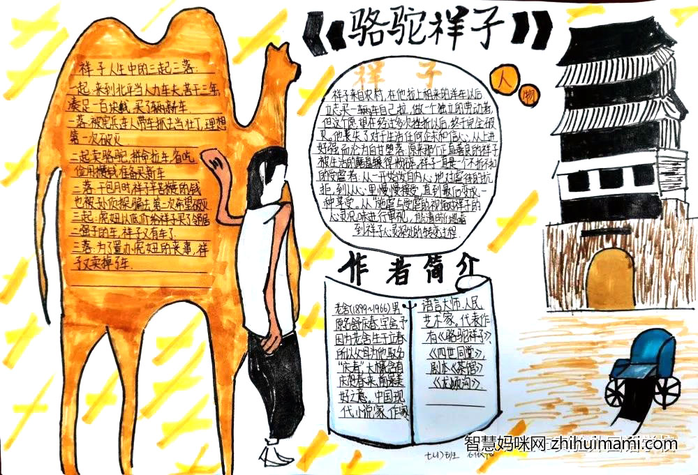 关于骆驼祥子的手抄报绘画-图4