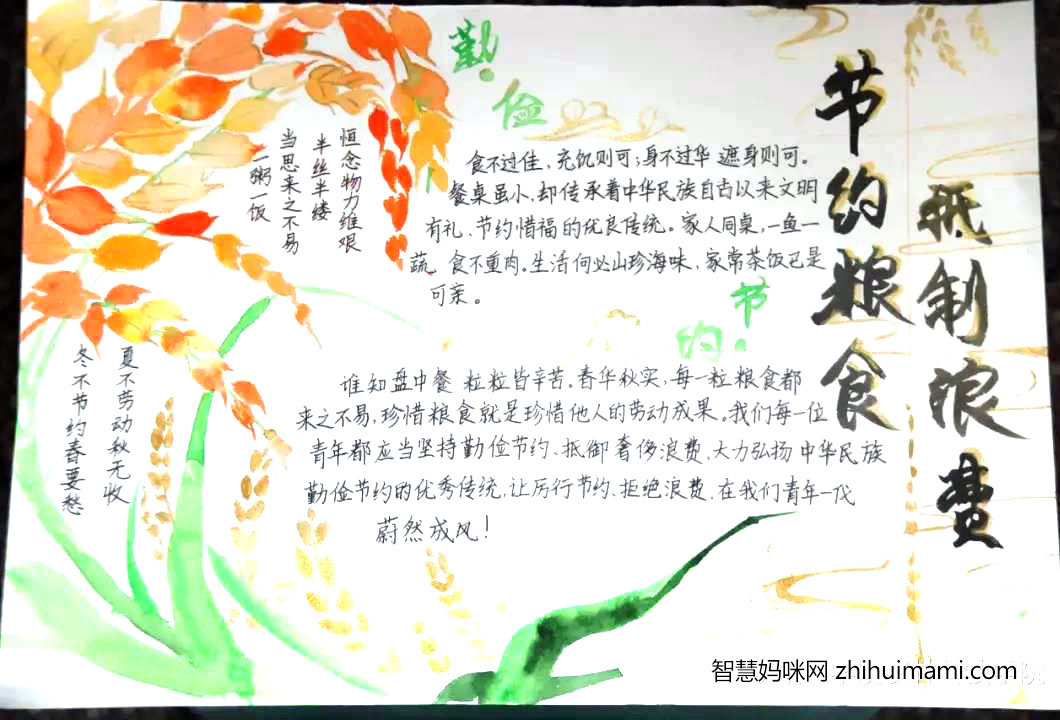 “节约粮食，杜绝浪费”主题手抄报图片-图2
