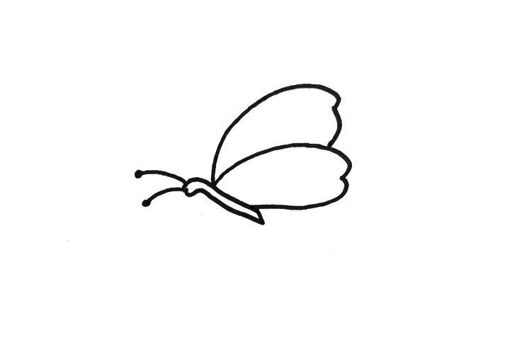 学画简单又漂亮的蝴蝶-图1