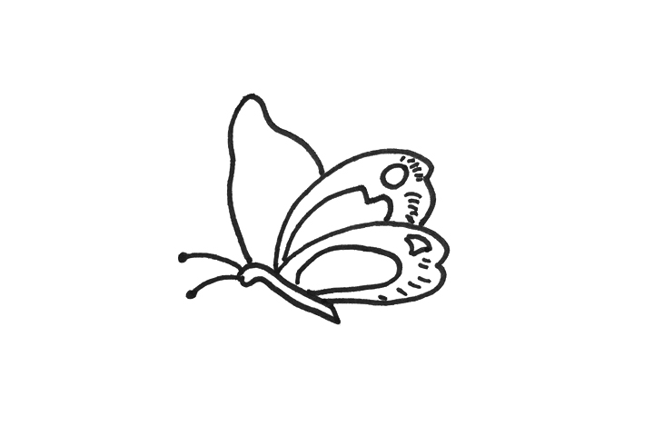 学画简单又漂亮的蝴蝶-图2